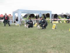 Częstochowa 2011 118